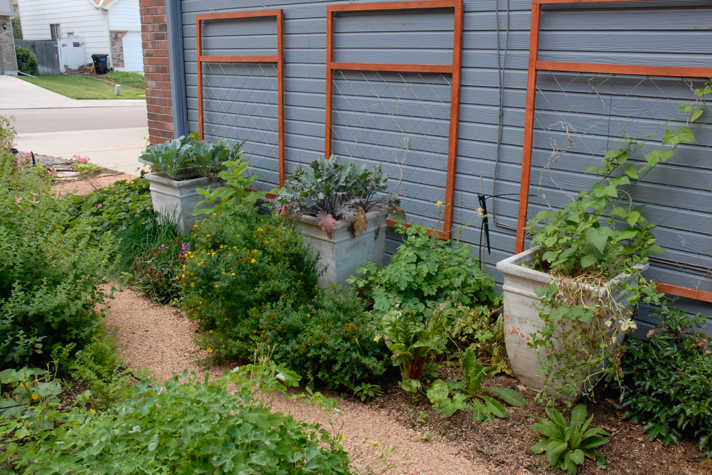 Terraced Turf Backyard